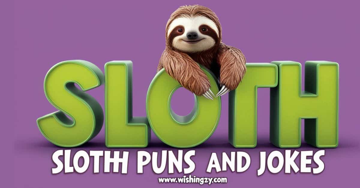 Sloth Puns